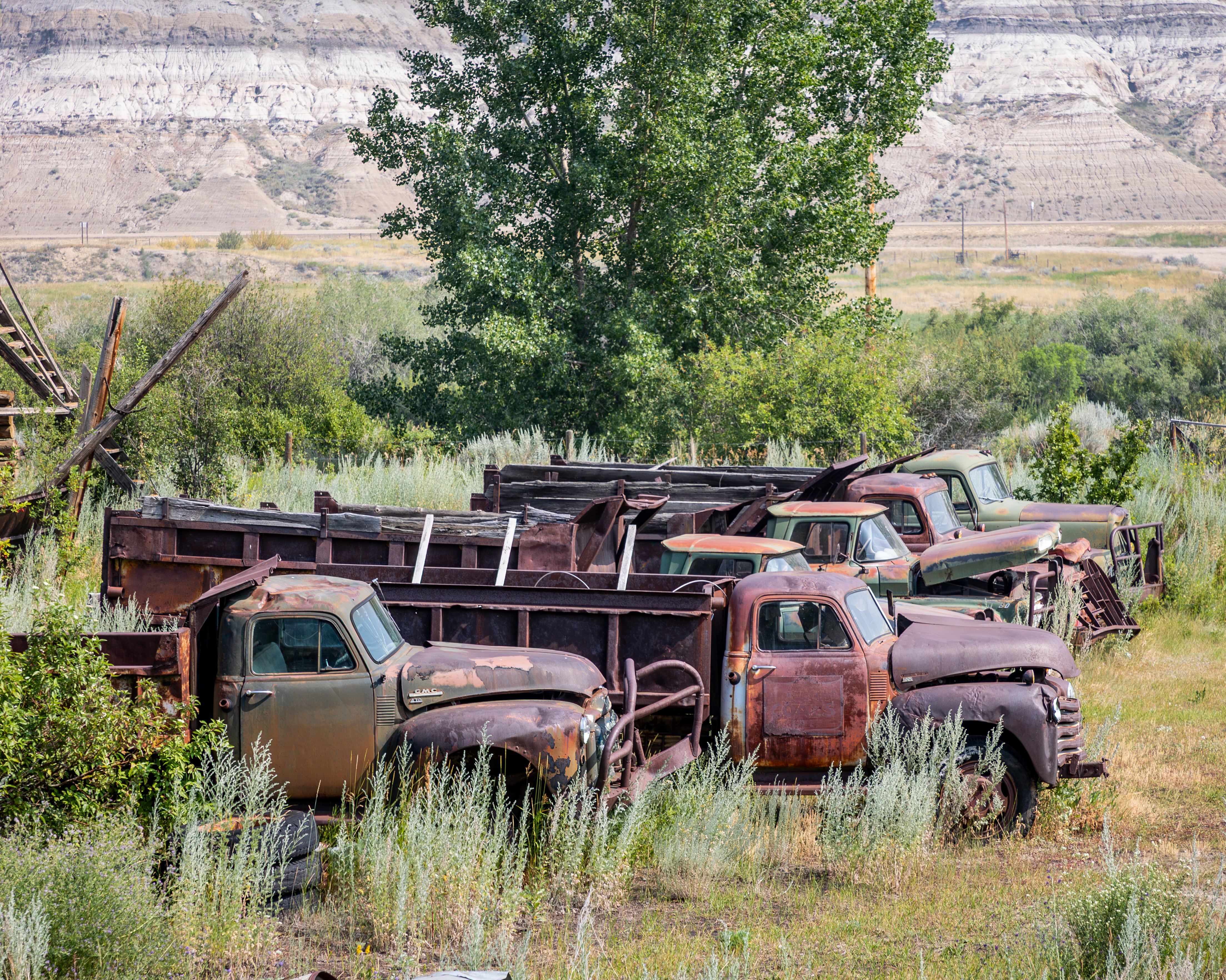 Rust and renewal